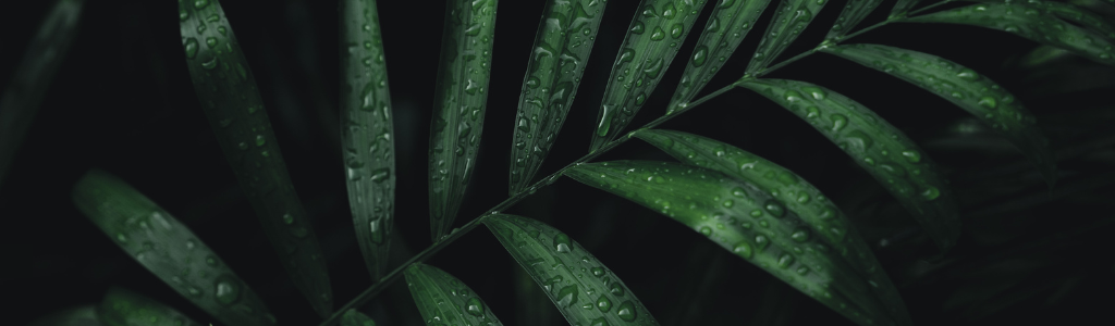 Sin título (1024 x 300 px) (2)
